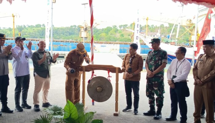 Jagung Petani Sumbawa Tembus Pasar Dunia