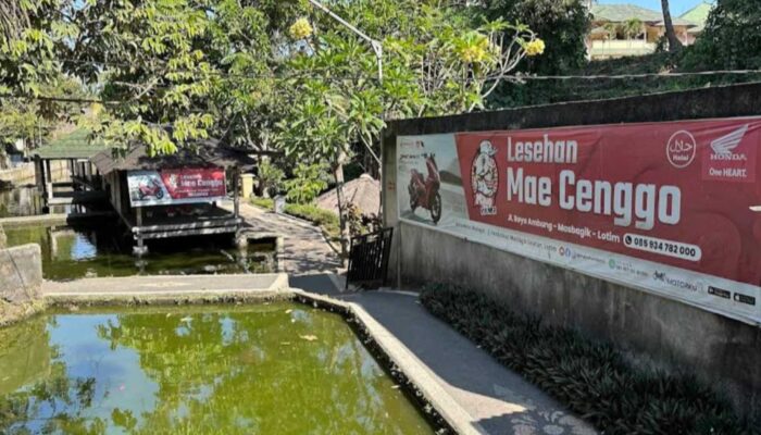 Mayo Kuliner Lesehan Mae Cenggo, Perpaduan Cita Rasa dan Semangat Pengabdian