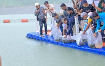 Gubernur dan FWE NTB Tebar Satu Juta Benih Ikan di Bendungan Meninting.
