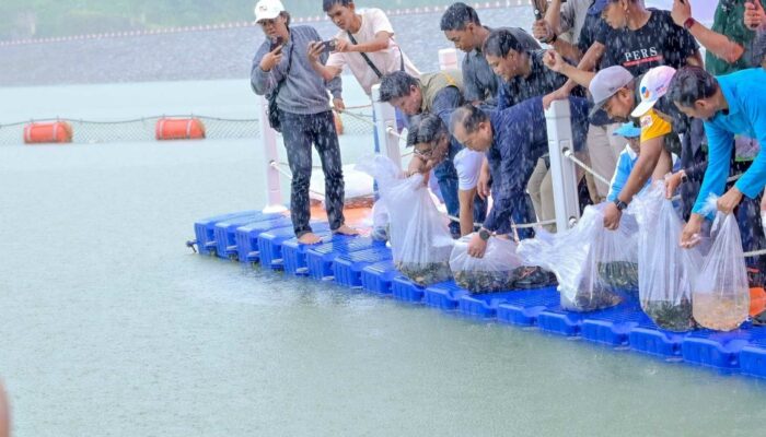 Gubernur dan FWE NTB Tebar Satu Juta Benih Ikan di Bendungan Meninting