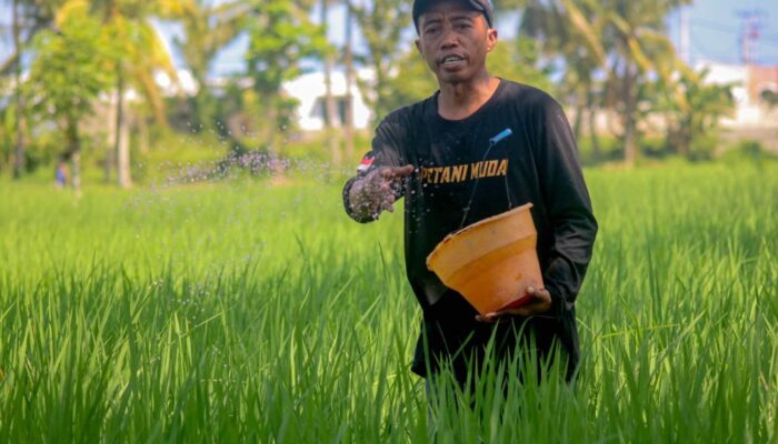 Petani NTB Akui Sistem i-Pubers Percepat Tebus Pupuk